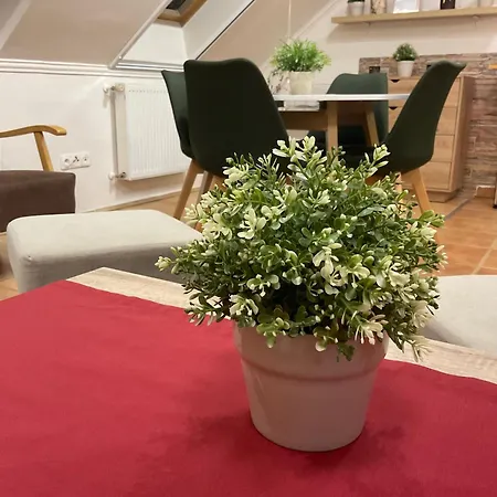 Apartment Sport Hajduszoboszlo